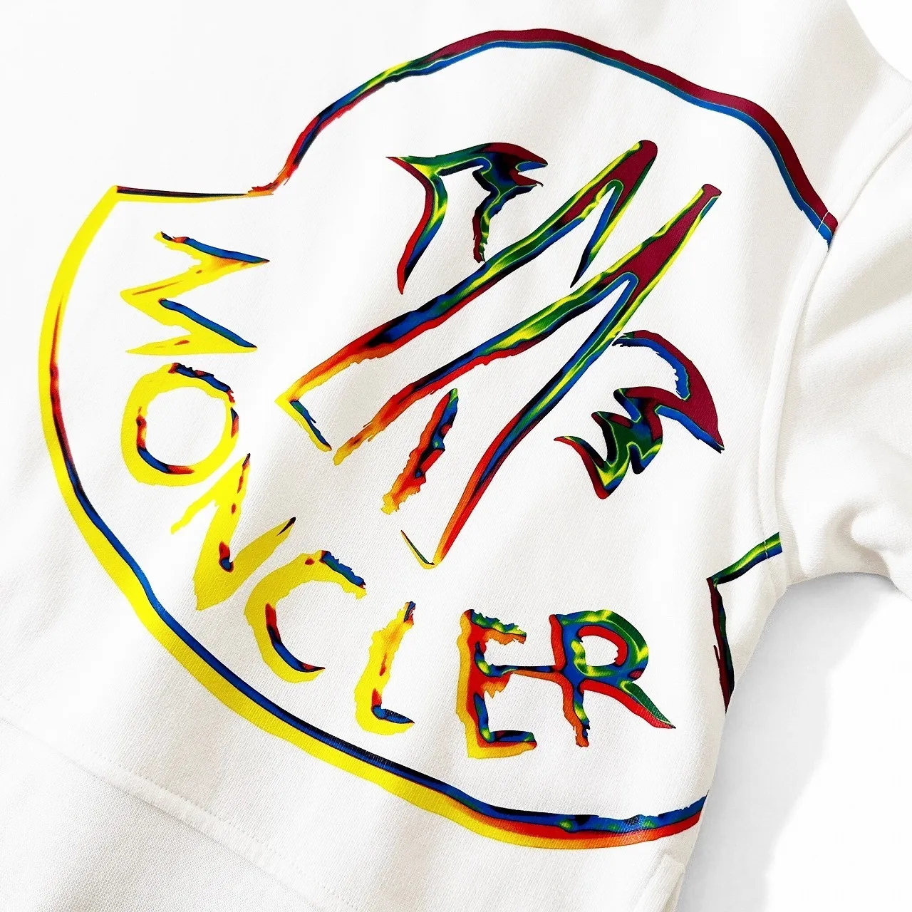 MONCLER  |Logo FX Advantage / Exclusive Hoodies & Sweatshirts