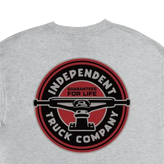 SANTA CRUZ ITC Profile Mens Independent T-Shirt - Grey